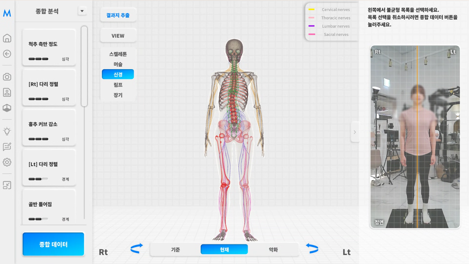 3D 신경 · 림프 · 장기 분석 화면
